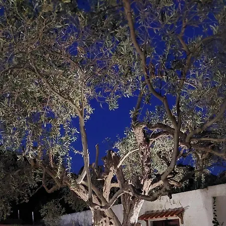 빌라 Olea Estate