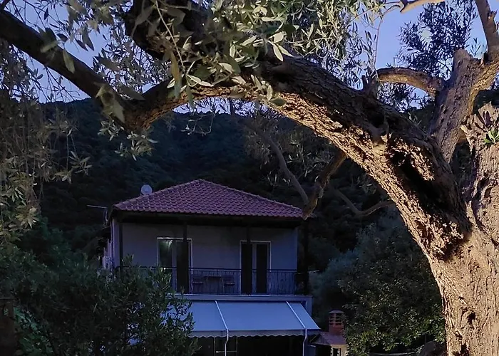 Olea Estate * Nea Iraklitsa
