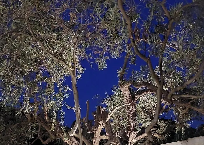 וילה Olea Estate